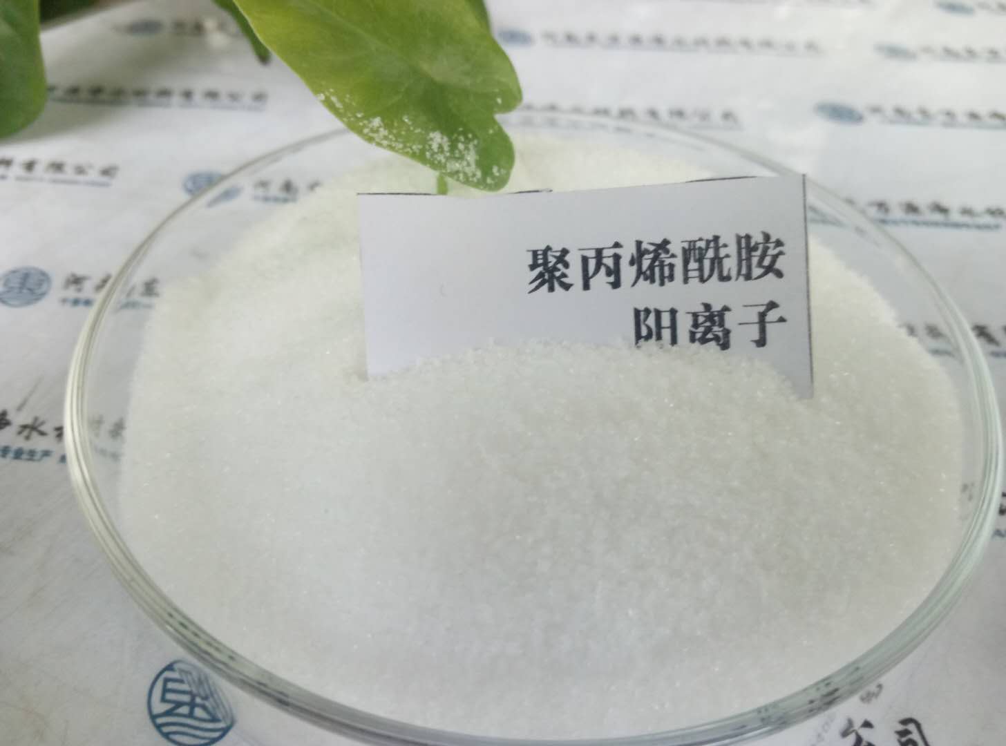 �νzԽ�L���۱�ϩ�����|��Խ�������ô��